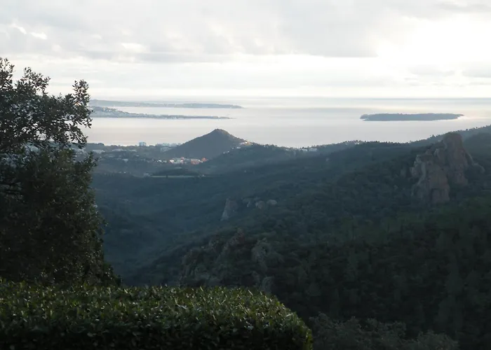 Bel Appartement 2 Ou 4 Personnes Vue Sur La Baie De Cannes Immense Piscine Calme Xxl